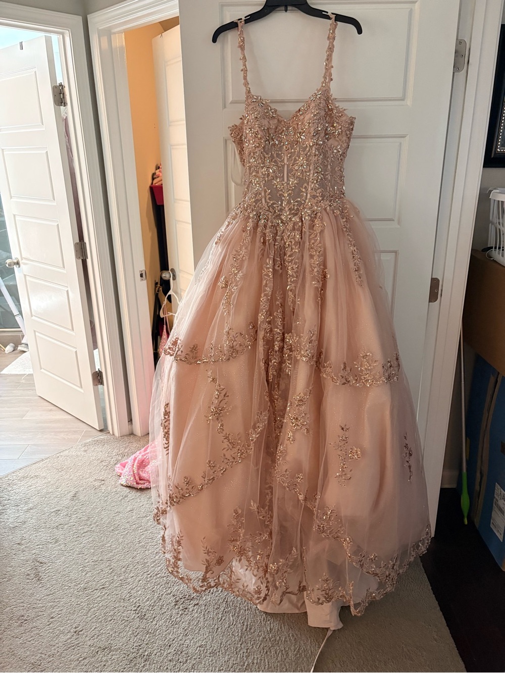 Blush Pink Embellished Tulle Prom Dress for Women